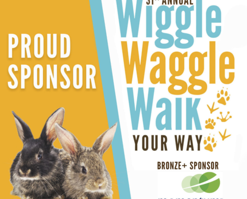Momentum CU is a proud sponsor of the HBSPCA Wiggle Waggle Walk Your Way